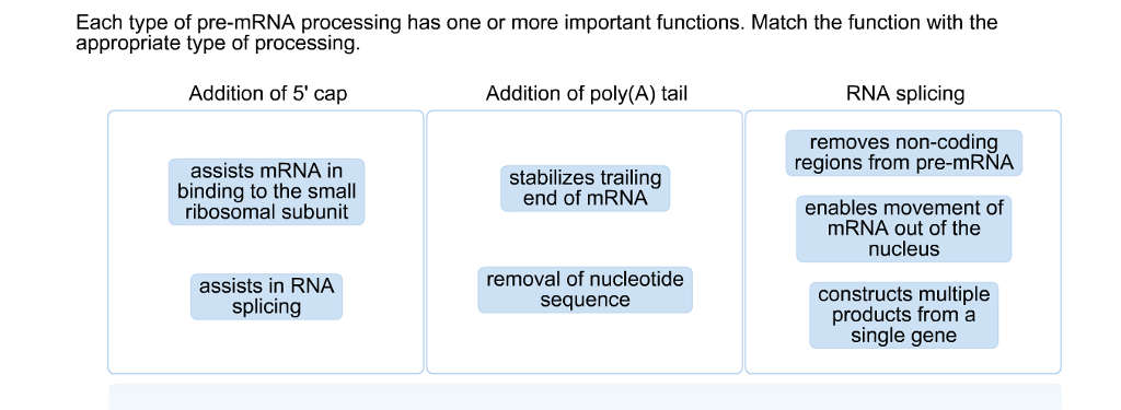 Solved Each type of pre-mRNA processing has one or more | Chegg.com