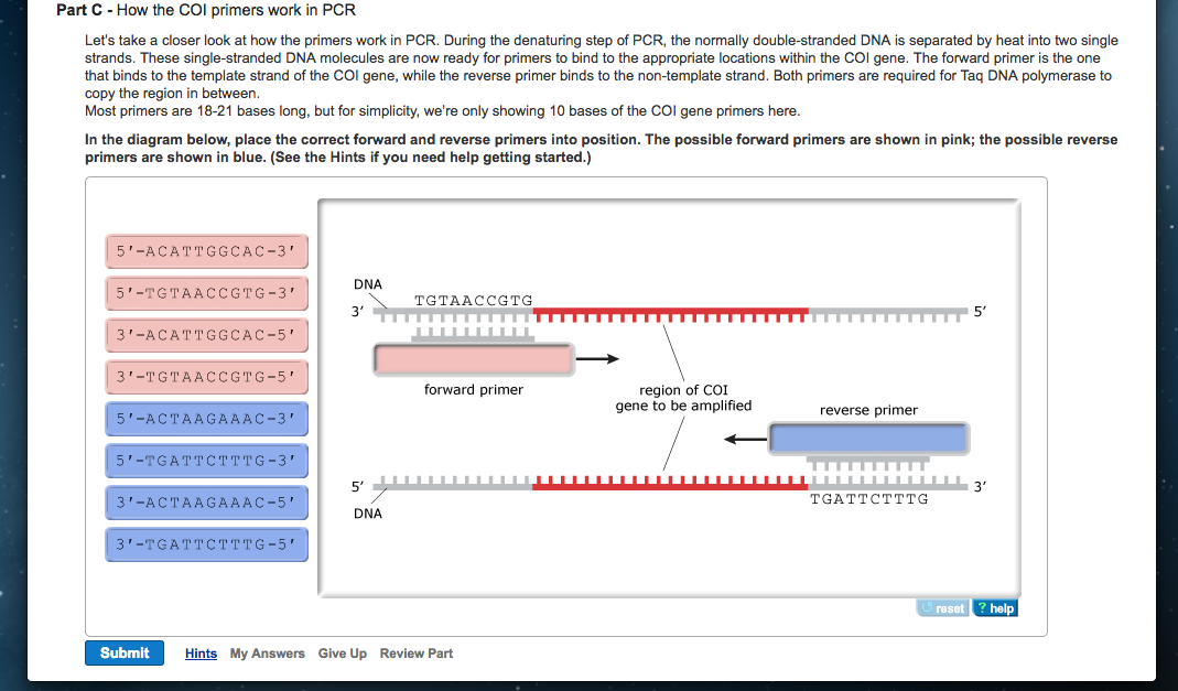 How Does The Primers Work at Louie Rushing blog
