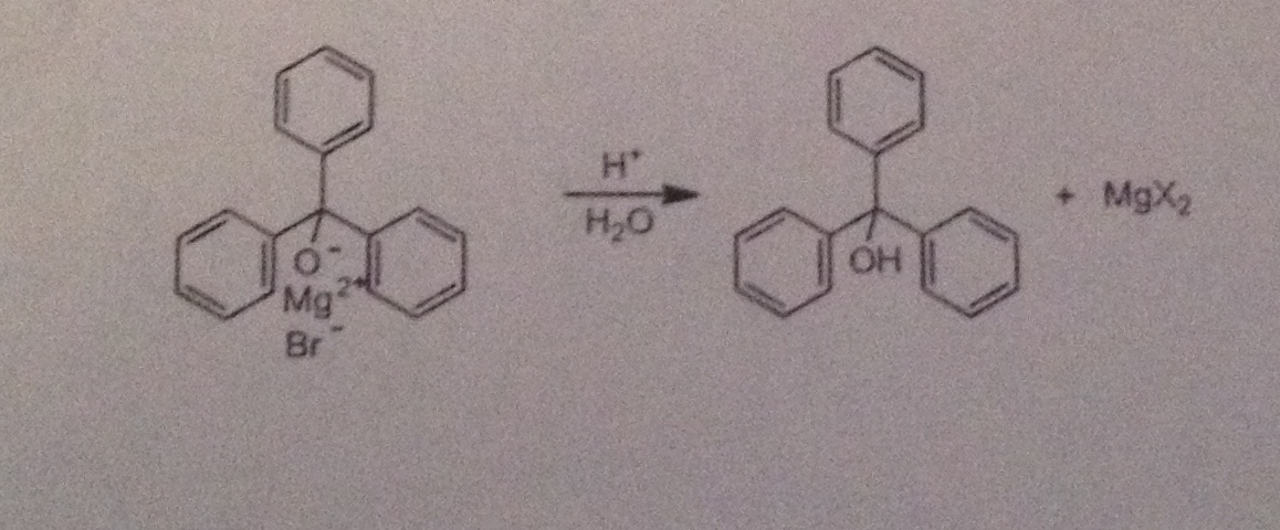 what-would-happen-if-a-student-added-5-aqueous-chegg