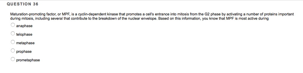 Solved QUESTION 36 Maturation-promoting factor, or MPF, is a | Chegg.com