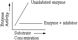 Solved The Graph Above Represents The Rate Of Enzyme | Chegg.com