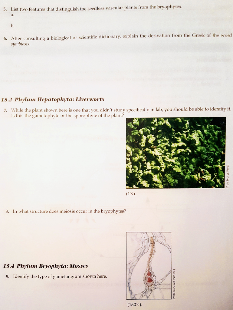 Solved 1. Explain why water must be present for the