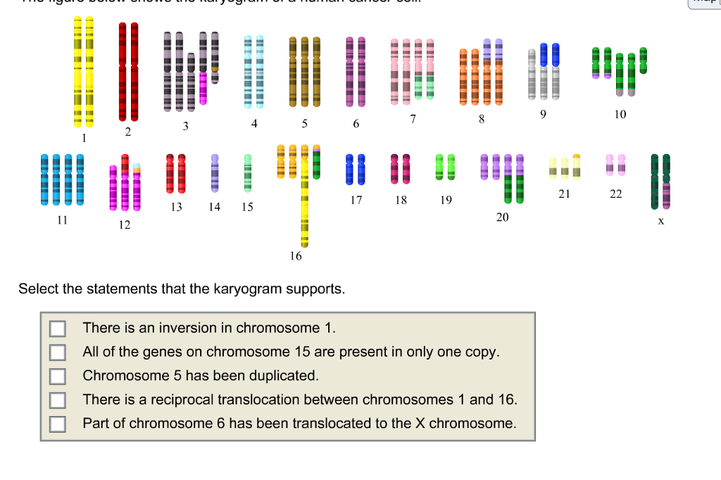 Solved The figure below shows the karyogram of a human | Chegg.com