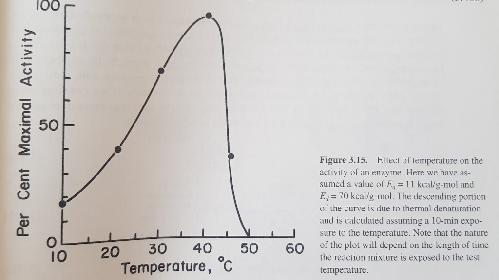 3 Enzyme Denaturation with Temperature Calculate