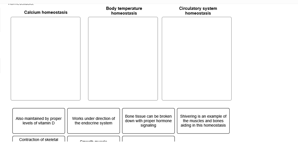 Endocrine System Homeostasis Example