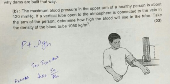 solved-why-dams-are-built-that-way-b-the-maximum-blood-chegg