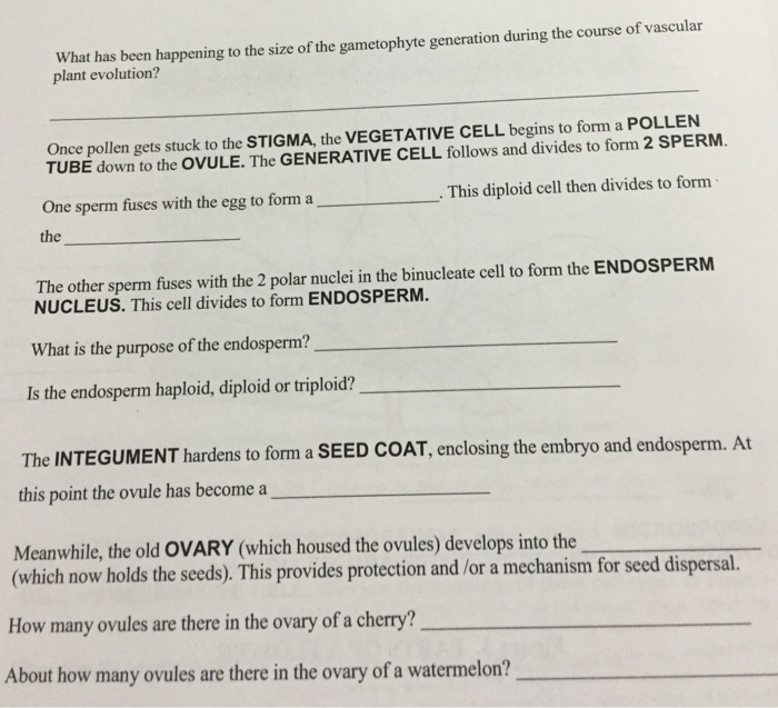 Solved Would monocots produce lateral meristems? Why or why