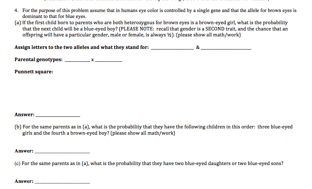 Punnett Square Eye Color Probability - Eye Color Photos