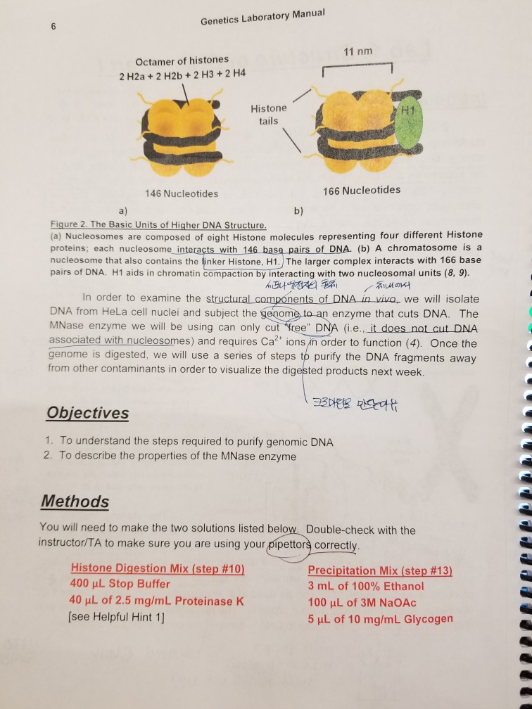 Solved 3. With the knowledge that SDS is a strong denaturing