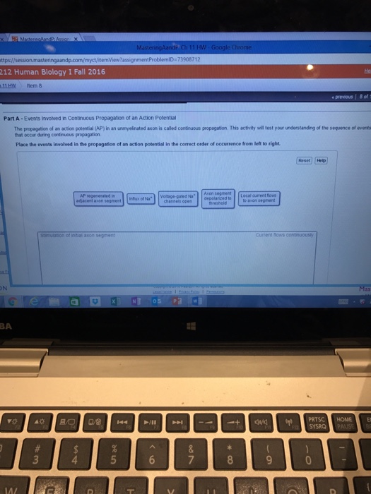Solved Place The Events That Occur In The Propagation Of An Chegg Com
