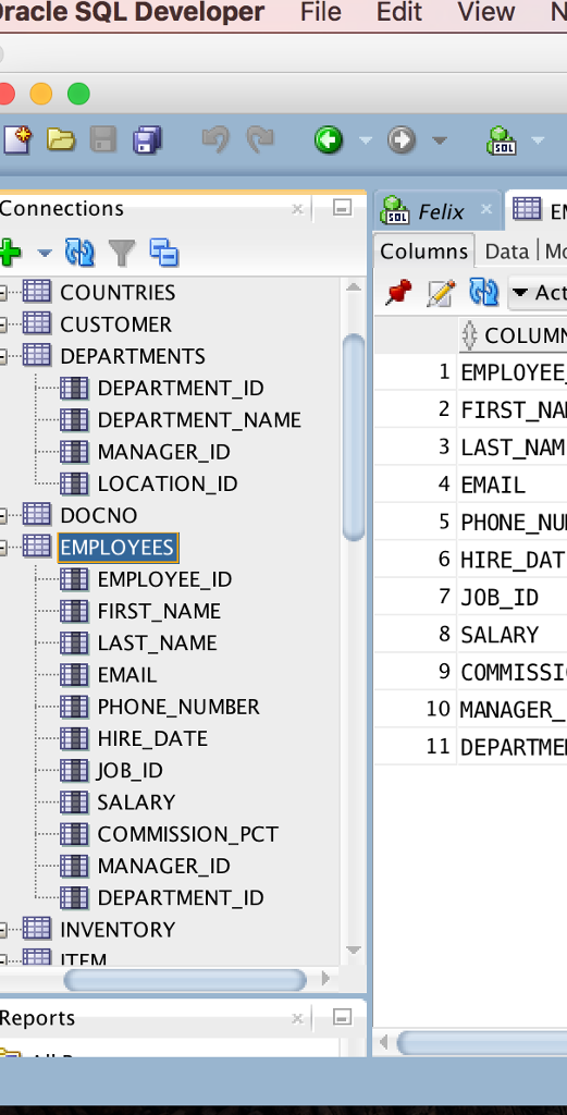 Solved Oracle SQL Developer File Edit View N Connections | Chegg.com