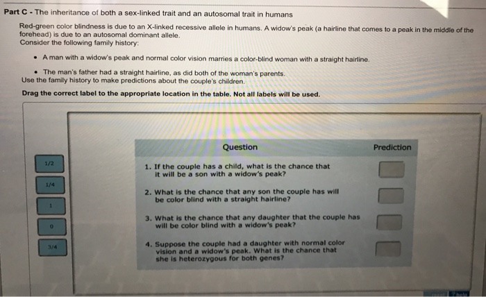 Solved The Inheritance Of Both A Sex Linked Trait And An 3789