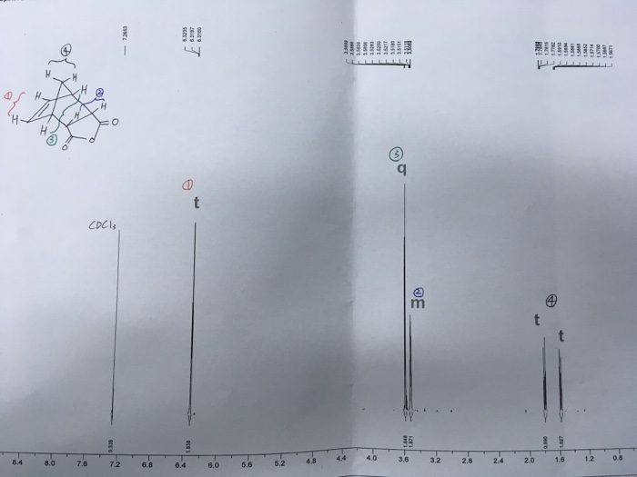 Solved This is cis norbornene 5,6-endo dicarboxylic | Chegg.com