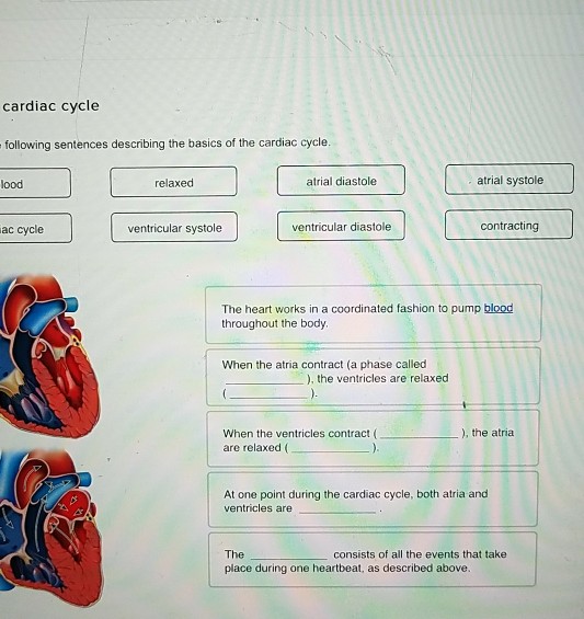 Solved the following sentences describing the basics of the
