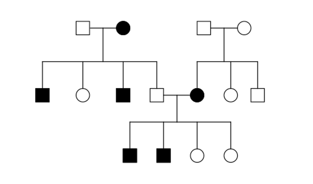 Solved Figure 1 Shows Three Generations Of The Pedigree Of Chegg