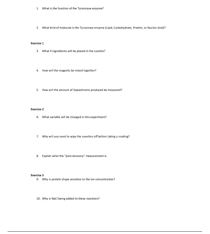 Solved 1. What is the function of the Tyrosinase enzyme? 2. | Chegg.com