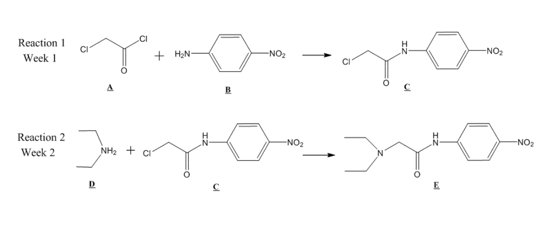 Solved What is the molecule E called and what is its melting | Chegg.com