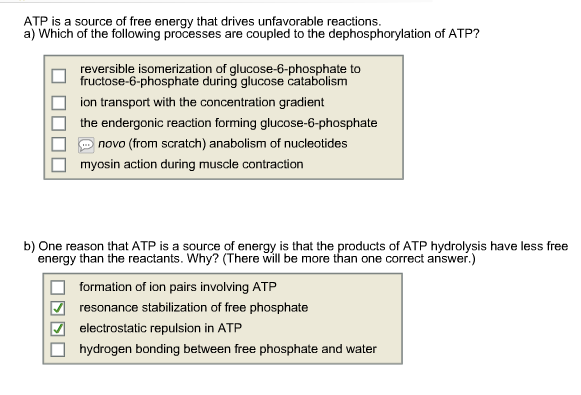 Solved ATP is a source of free energy that drives | Chegg.com