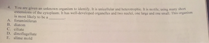 Solved You are given an unknown organism to identify. It is | Chegg.com