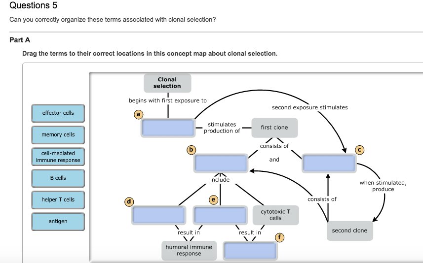 concept practice steps in the scientific method map