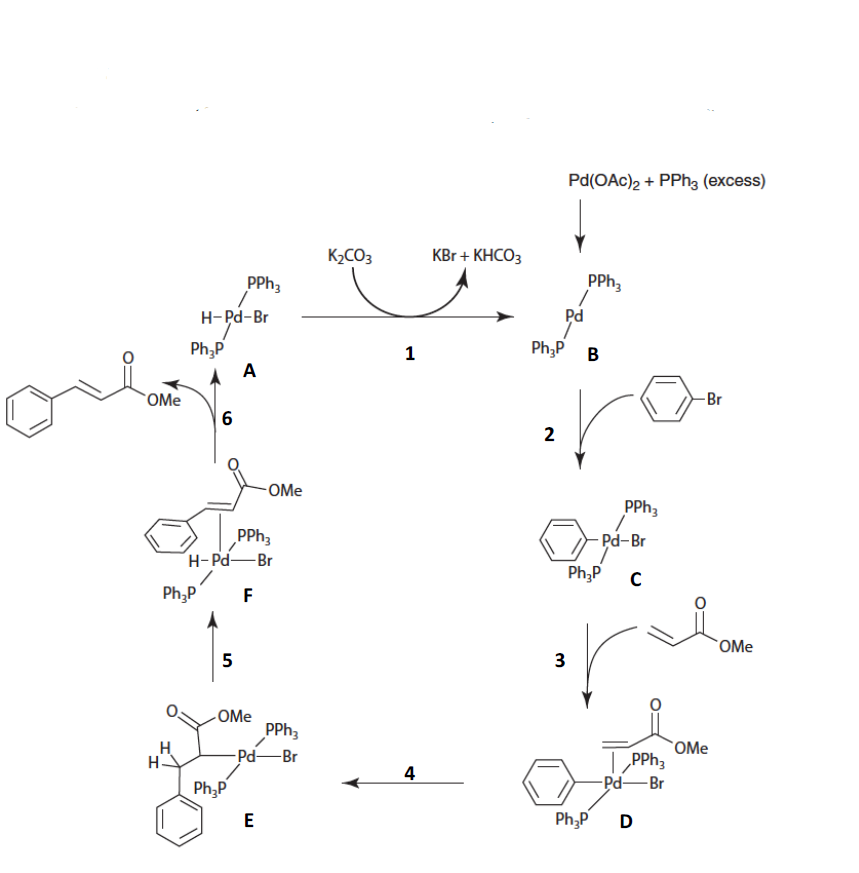 Solved The Catalytic Cycle Below Describes A Typical Heck | Chegg.com