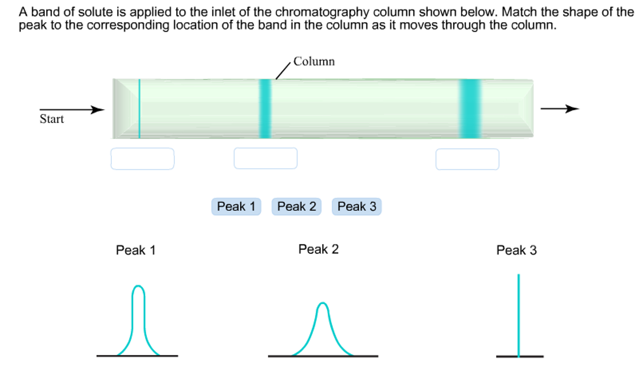 Solved A band of solute is applied to the inlet of the | Chegg.com