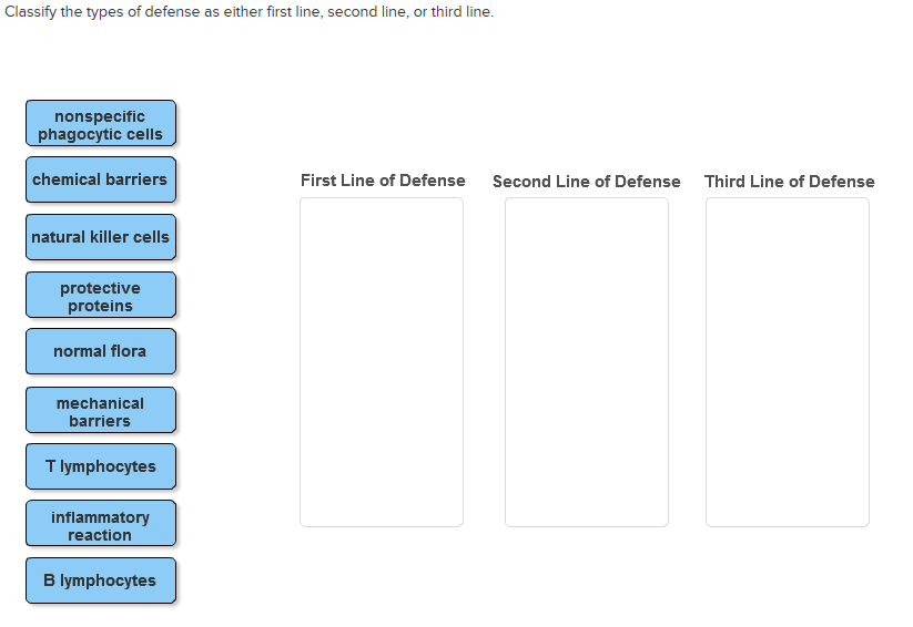 first second third line of defense