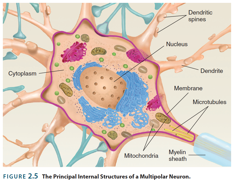 Solved LABEL THE FOLLOWING diagram | Chegg.com