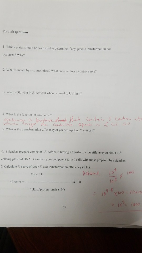 Solved Pre Lab Questions 1 It Is Possible To Transform An 5960