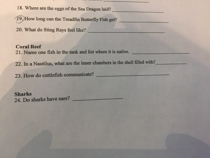 Solved Otters 15. The North American River Otter has hairs | Chegg.com