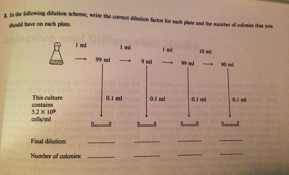 Solved In the following dilution scheme, write the correct