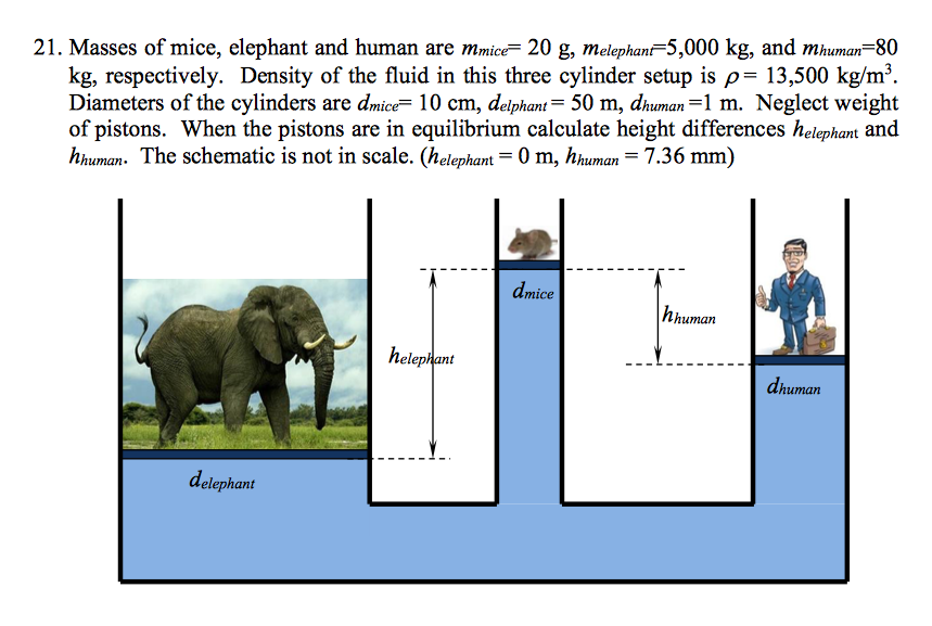 Solved Masses of mice, elephant and human are m_mice = 20 g, | Chegg.com