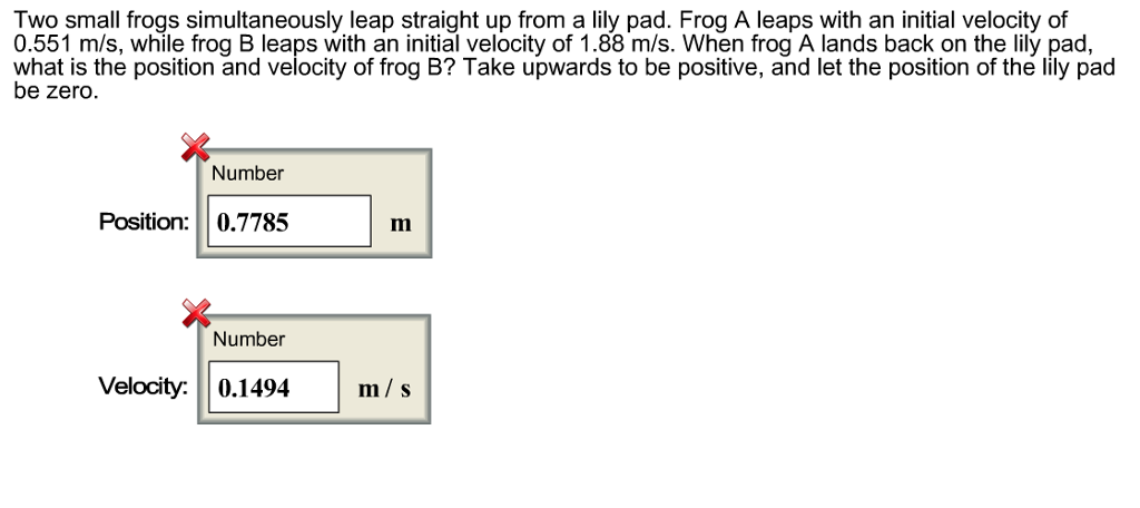 Solved Two small frogs simultaneously leap straight up from | Chegg.com