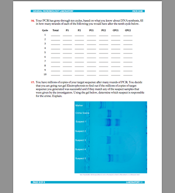 Solved Laboratory 12: Polymerase Chain Reaction Objective To | Chegg.com