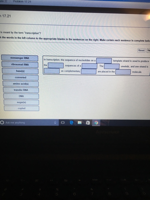 Solved What Is Meant By The Term transcription Is The Chegg