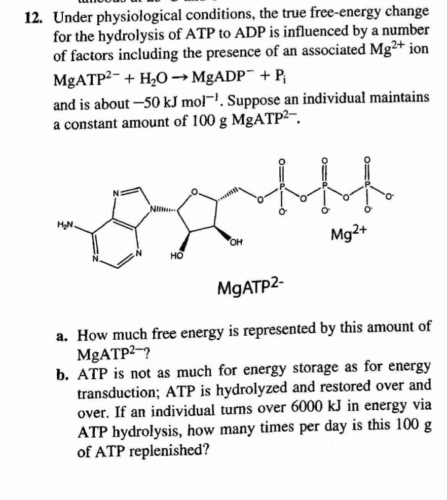 Does Atp Or Adp Have More Free Energy