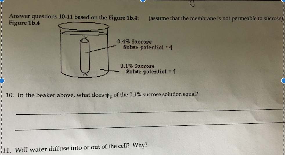 Solved In the beaker above, what does psi_p of the 0.1% | Chegg.com