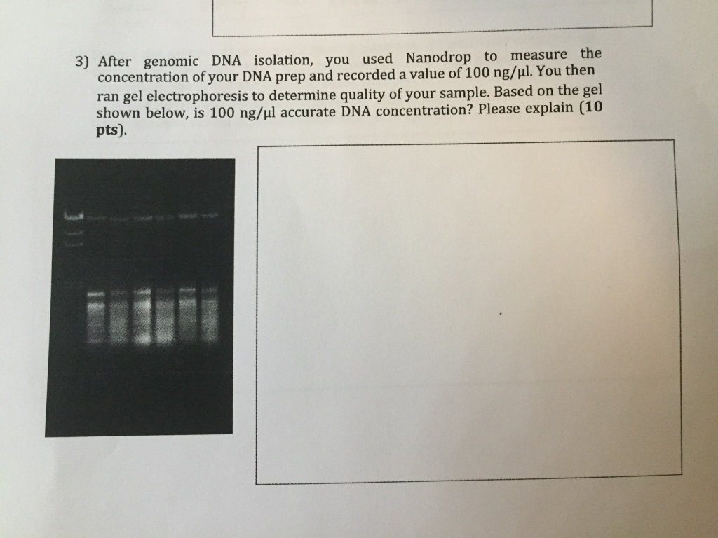 Solved After genomic DNA isolation, you used Nanodrop to
