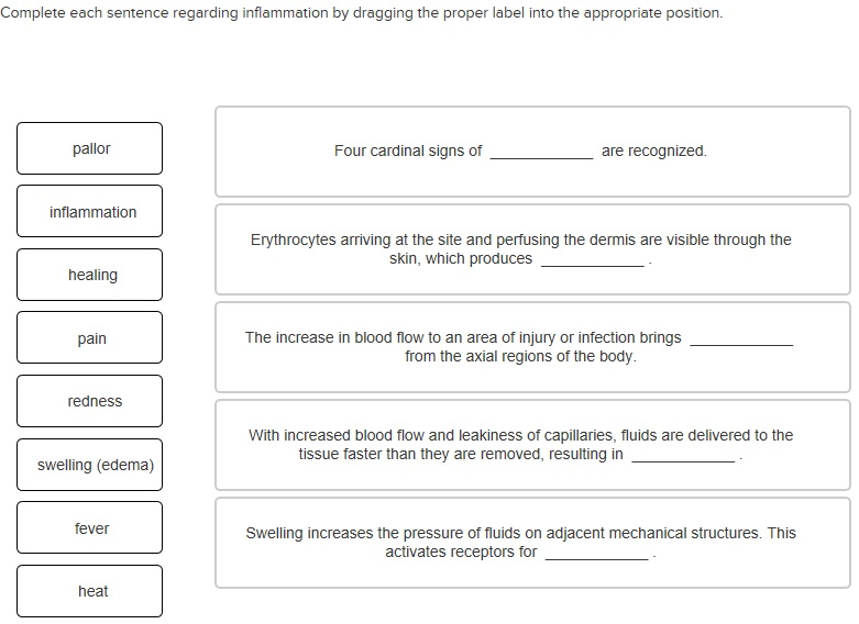 Make Sentence With Word Inflammation