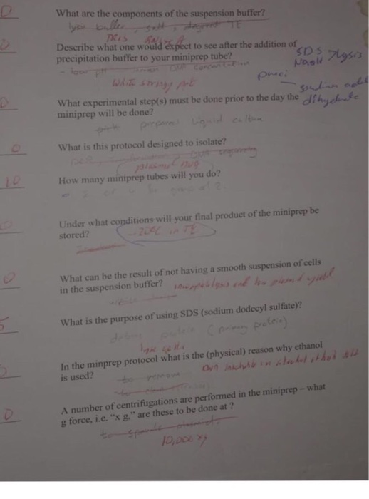 What are the components of the suspension buffer?