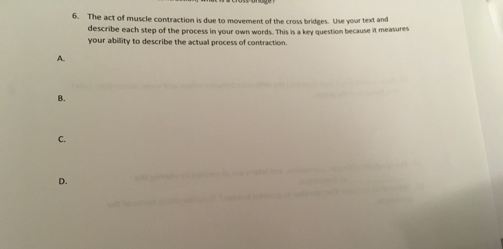 Solved 1. How are the size of motor units related to the | Chegg.com