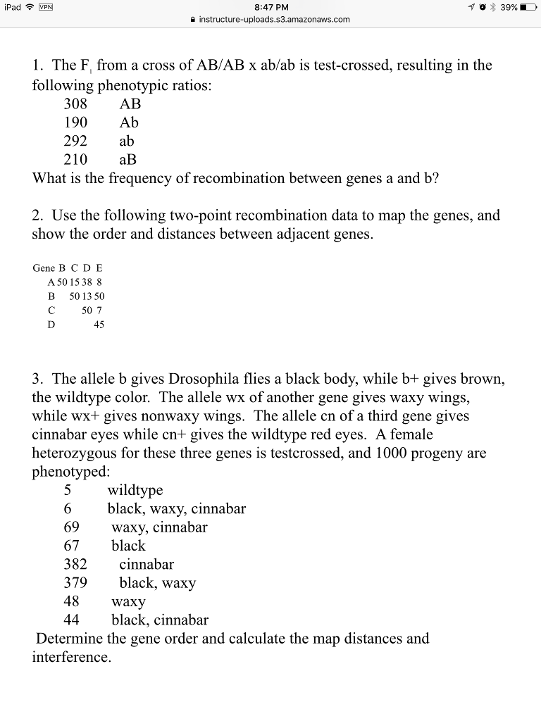 Solved The F, from a cross of AB/AB x ab/ab is testcrossed,