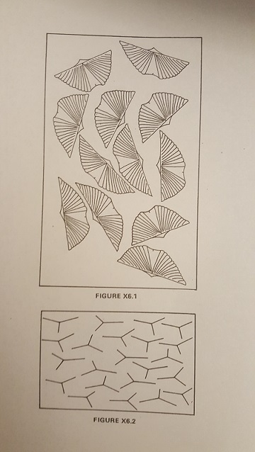 Solved PLEASE DO EXERCISES 2,3,4. DEMONSTRATE WELLMAN'S | Chegg.com