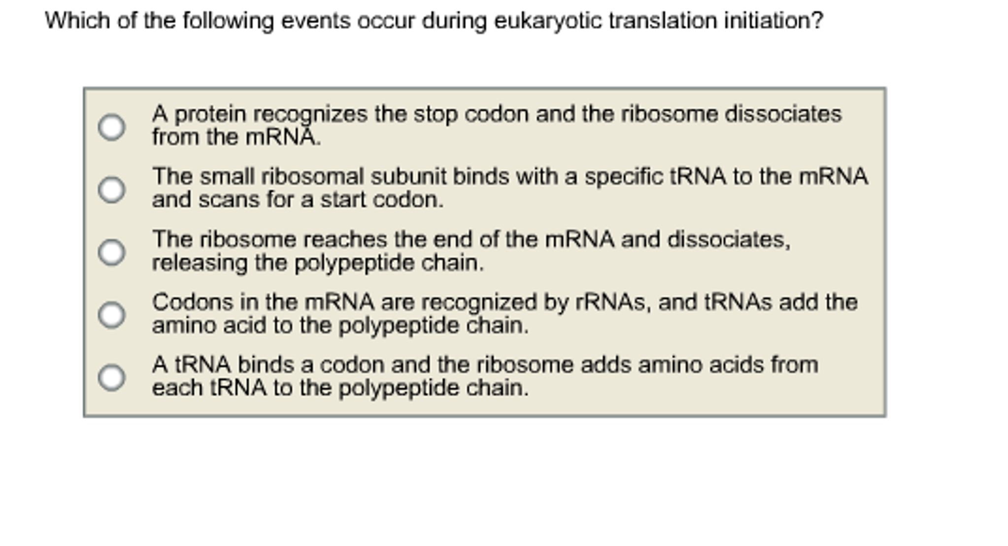 Which Does Not Occur During Translation