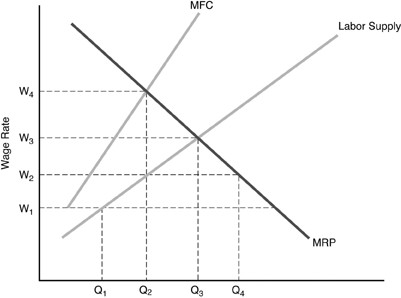 Solved Use the above table. If the Marginal Revenue Product | Chegg.com