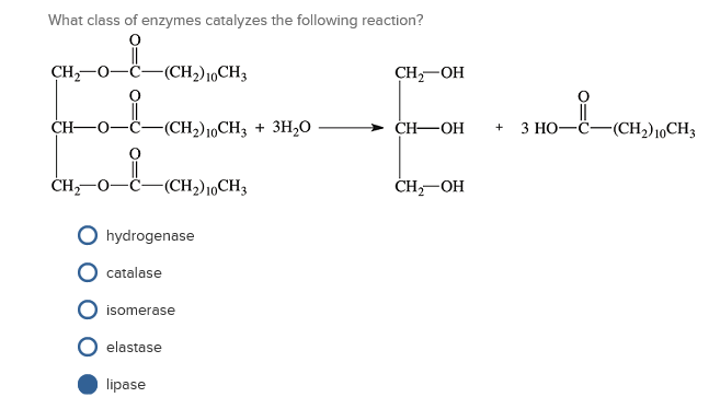 Solved What class of enzymes catalyzes the following | Chegg.com