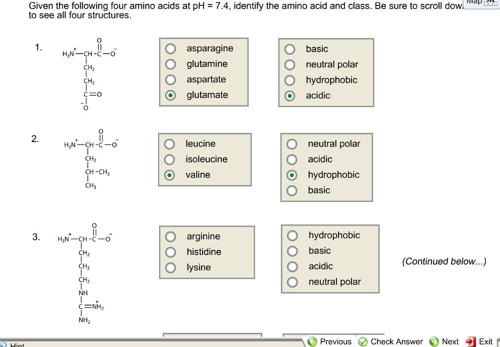 Solved Given the following four amino acids at pH 7.4,
