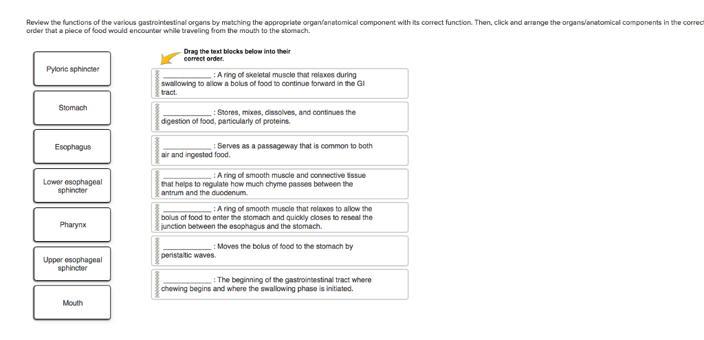 Solved Review the functions of the various gastrointestinal | Chegg.com