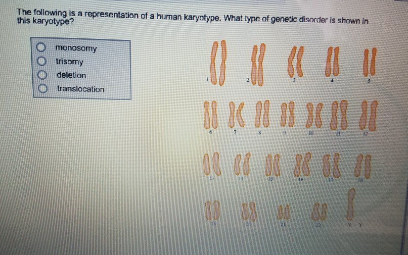Solved The following is a representation of a human | Chegg.com