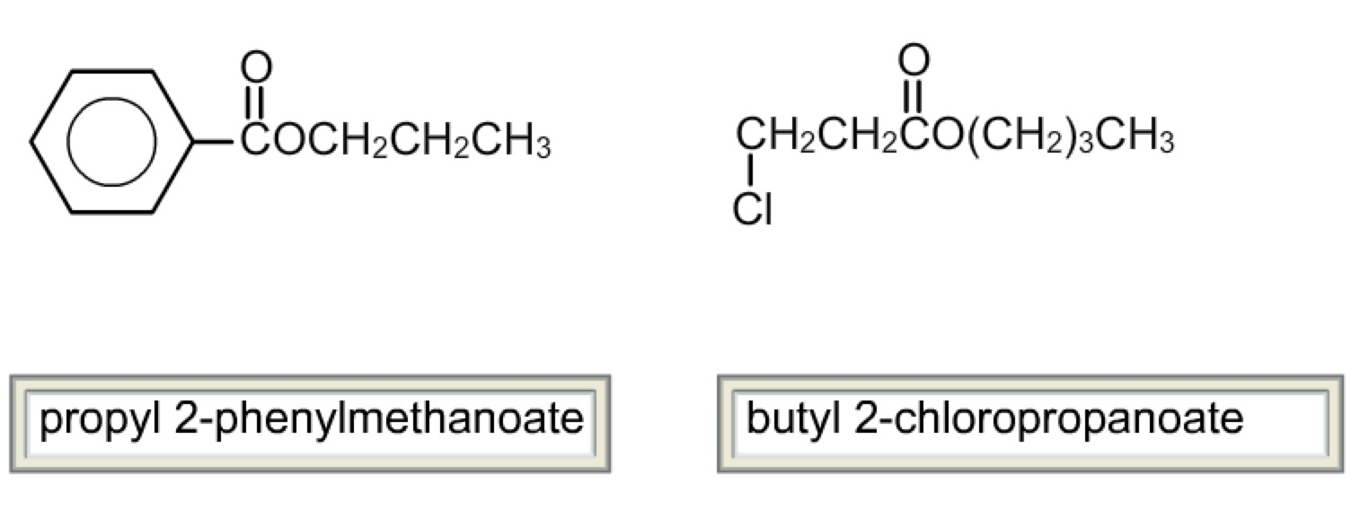 Solved ÇH2CH2CO (CH2)3CH3 Cl COCH2CH2CH3 propyl | Chegg.com